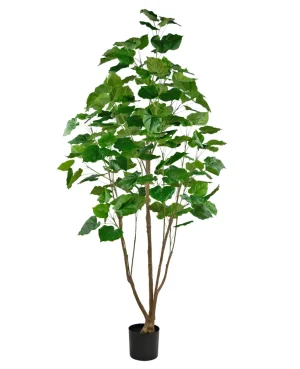 Kunstplant Ficus